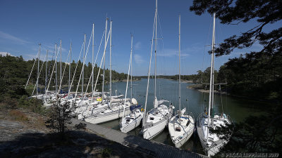 Boats at ngest