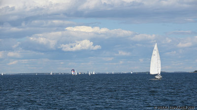 Running downwind II / Sailing to Helsinki