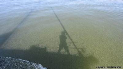 My shadow in algae blossom