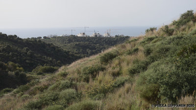 Building houses on the hill