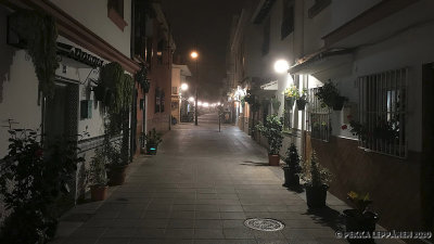Cala in fog