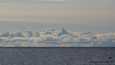 September birds with  clouds over Estonia