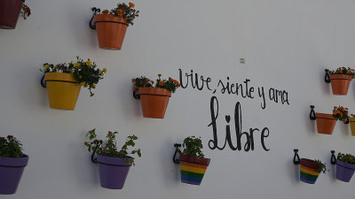 Wallflowers