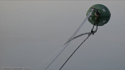 g12/43/467943/3/172802355.CFpw2hUx.jpg