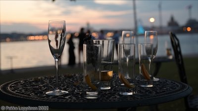 Party people through their glasses