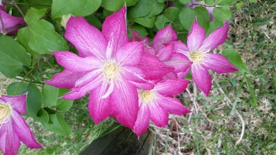 20180509_174251.jpg