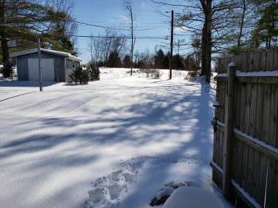 20210216_123815.jpg