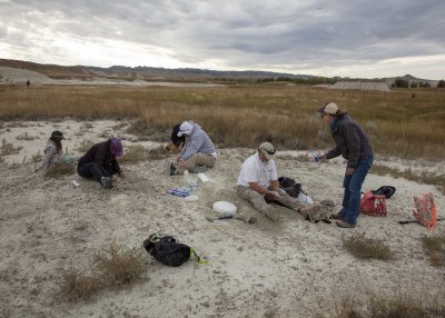 2N9A6586 Digging and prepping fossils.jpg