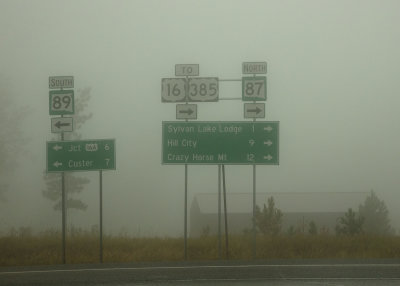 2N9A6781 Needles Hwy in the rain and fog.jpg