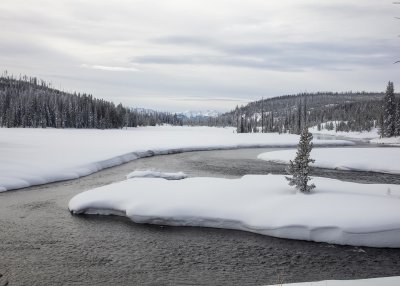 2N9A0118 Yellowstone Lewis River.jpg
