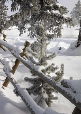 2N9A0138 Yellowstone West Thumb Geyser Basin.jpg