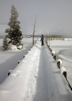 2N9A0155 Yellowstone West Thumb Geyser Basin.jpg