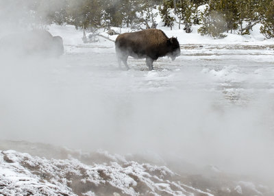 2N9A0170 Yellowstone Biscuit Basin 2.jpg