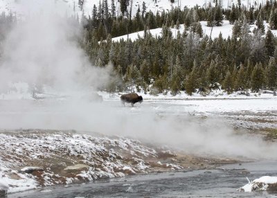 2N9A0170 Yellowstone Biscuit Basin.jpg