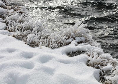 2N9A0193 Yellowstone Biscuit Basin.jpg