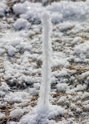 2N9A0197 Yellowstone.jpg