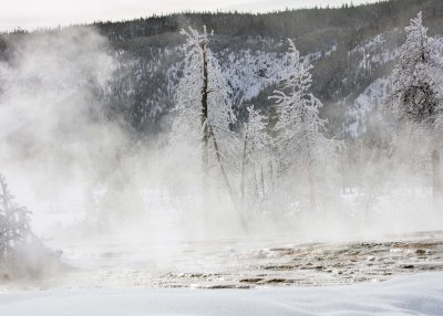2N9A0212 Yellowstone Biscuit Basin.jpg