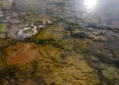 2N9A0219 Yellowstone Old Faithful trail.jpg