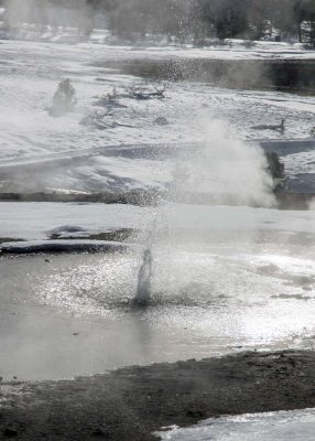2N9A0232 Yellowstone Old Faithful trail.jpg