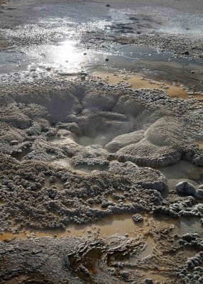 2N9A0233 Yellowstone Old Faithful trail.jpg
