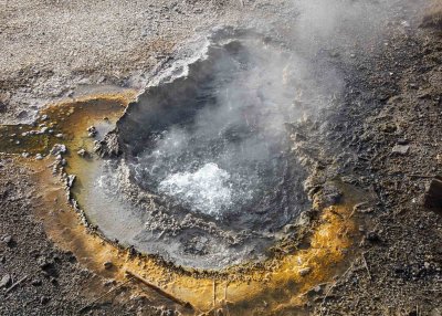 2N9A0236 Yellowstone Old Faithful trail.jpg