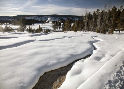 2N9A0242 Yellowstone Old Faithful trail.jpg