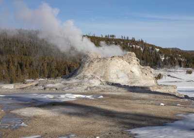 2N9A0246 Yellowstone Castle Geyser Old Faithful trail.jpg
