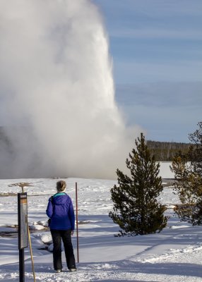 2N9A0249 Yellowstone Old Faithful.jpg