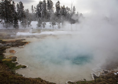 2N9A0289 Yellowstone Paintpots.jpg