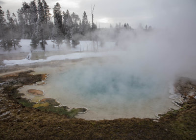 2N9A0290 Yellowstone Paintpots.jpg
