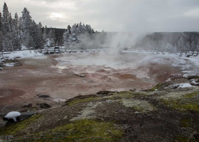 2N9A0295 Yellowstone Paintpots.jpg