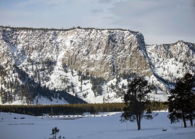 2N9A0361 Yellowstone.jpg