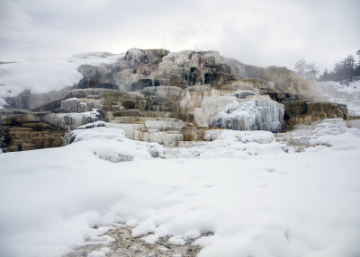 2N9A0451 Yellowstone Mammoth Hot Springs.jpg