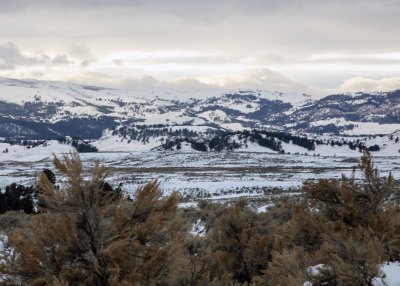 2N9A0495 Yellowstone Lamar Valley.jpg