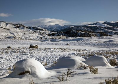 2N9A0599 Yellowstone Lamar Valley.jpg