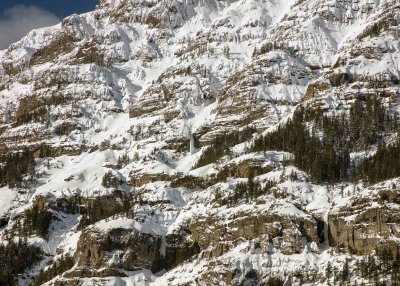 2N9A0636 Yellowstone.jpg