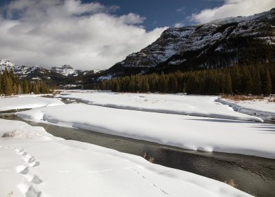 2N9A0659 Yellowstone Lamar Valley.jpg
