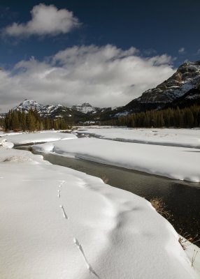 2N9A0661 Yellowstone Lamar Valley.jpg