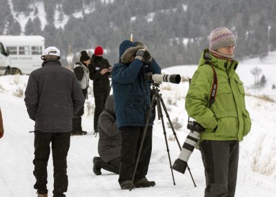 2N9A0866 Yellowstone Sam.jpg