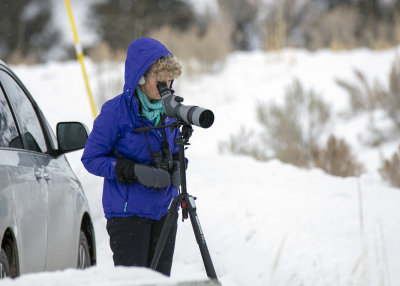 2N9A0943 Yellowstone Nada.jpg