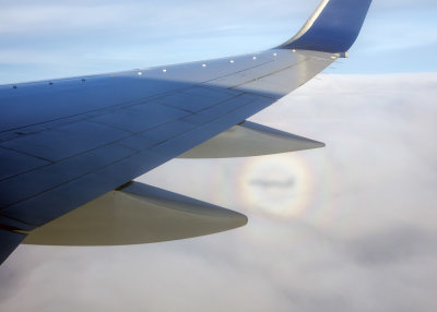 2N9A1253 Halo & Shadow.jpg