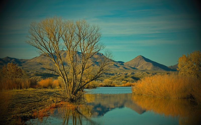 Bosque Del Apache National Wildlife Refuge.
