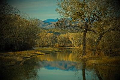 Bosque Del Apache National Wildlife Refuge