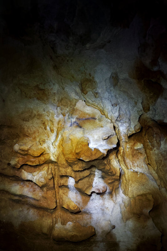 Grotte de BernifalLe bouquetin