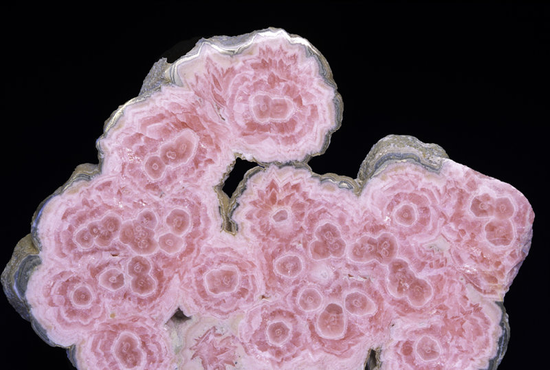 Rhodochrosite stalactites cross-section, Catamarca, Argentina