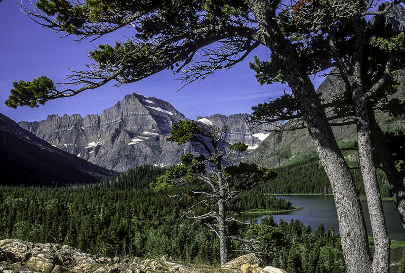 Swiftcurrent Lake, Glacier National Park. MT