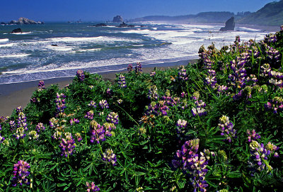 Cape Blanco, OR