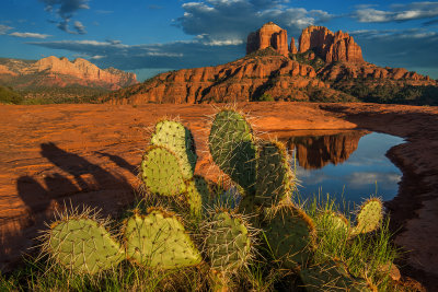 Cathedral Rocks and Prickly Pear Cactus