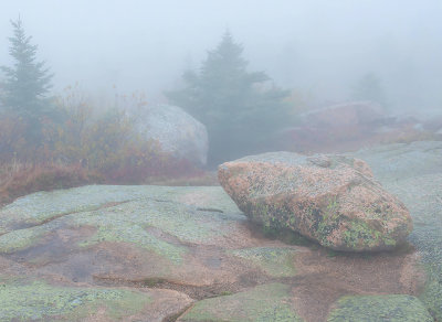 Boulder in the fog, Cadillac Mountain, Acadia National Park, ME