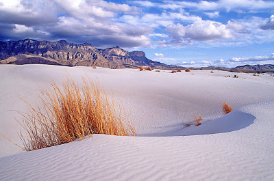 Salt Basin Dunes, Guadalupe Mountains National Park, TX